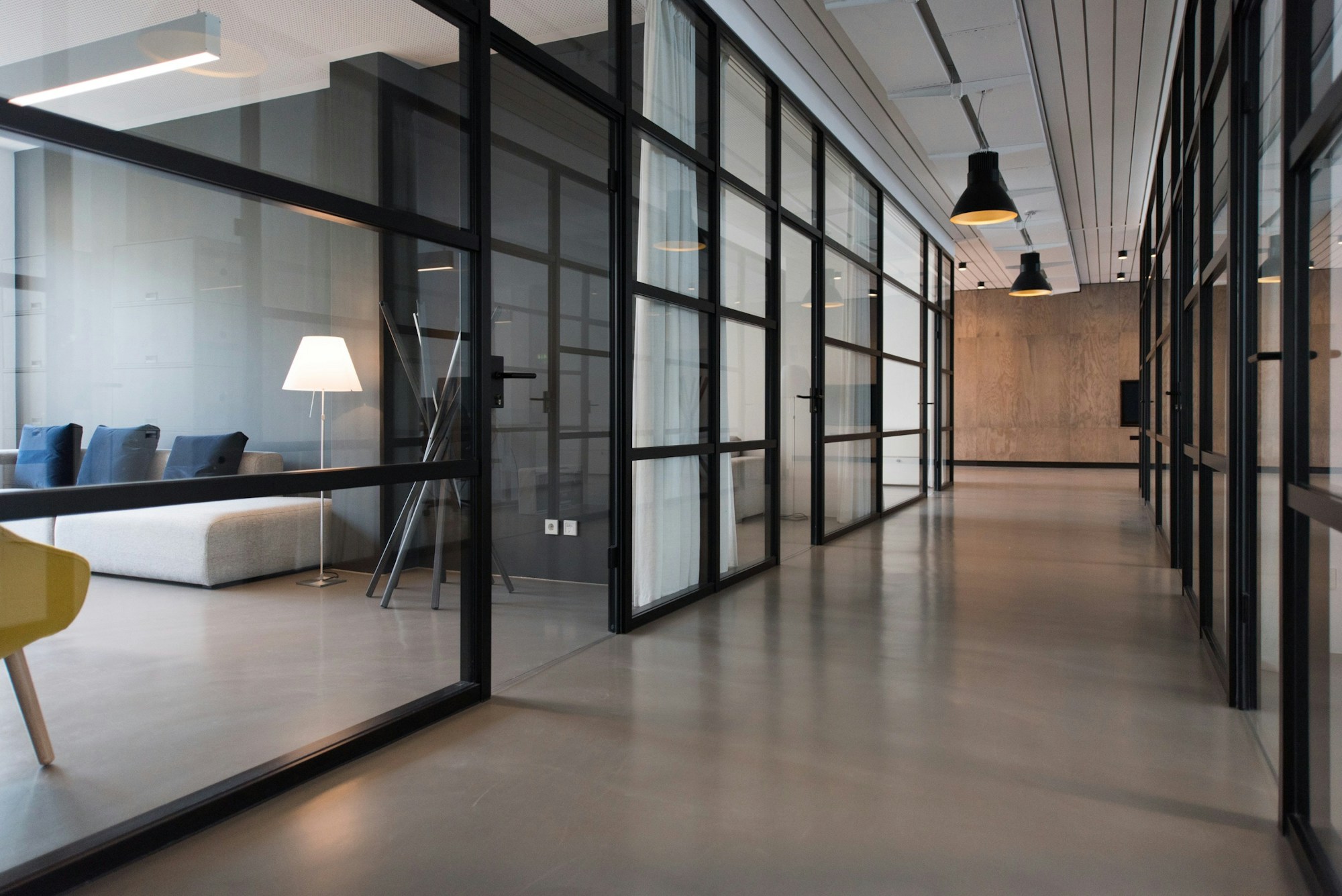 A light-filled contemporary workspace with shared desks and plants